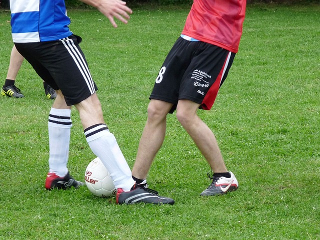 这让太阳队 这让太阳队