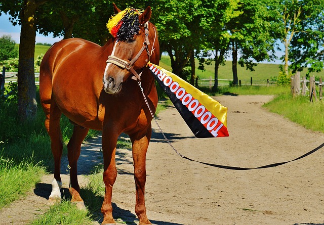 员的健康 员的健康