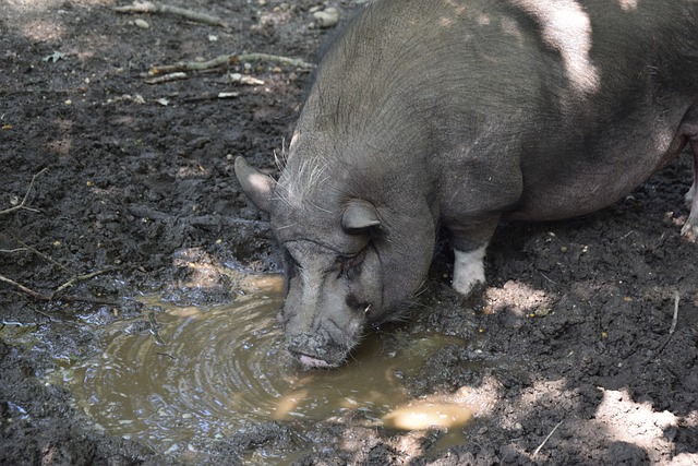 在缤纷多彩 在缤纷多彩