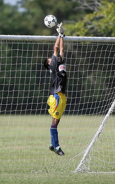 曼联的部分 曼联的部分