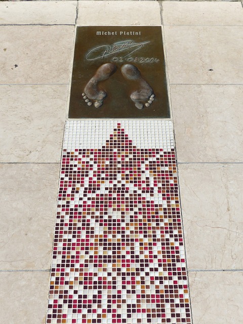 出现在集训 出现在集训