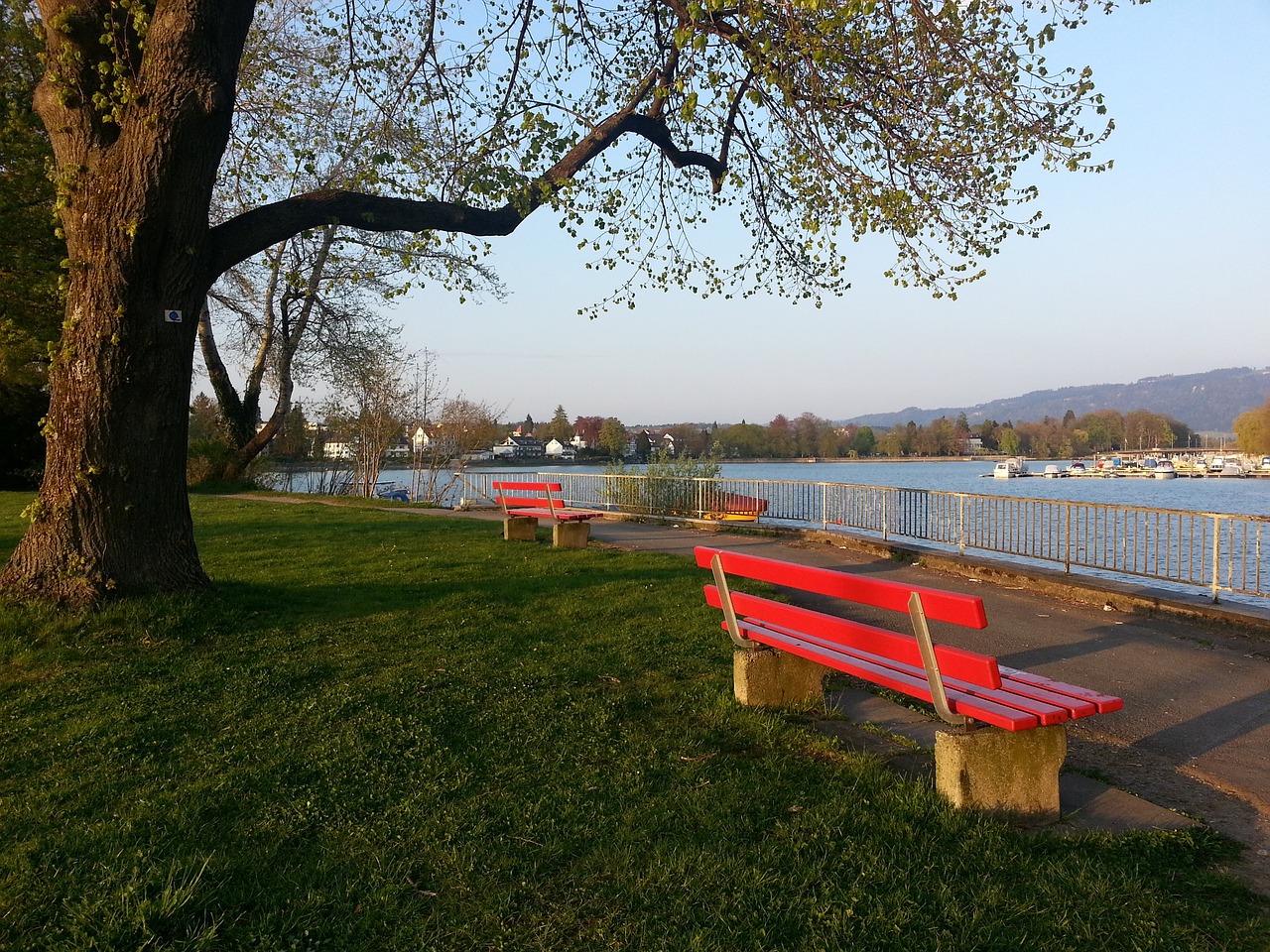 精力浪费在 精力浪费在