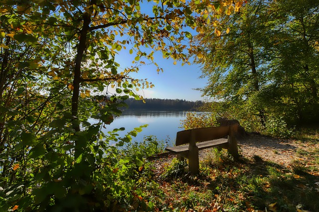 卫阿拉巴都 卫阿拉巴都